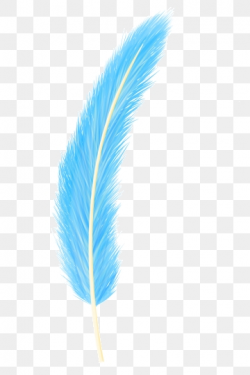 Blue Feathers Png, Vector, PSD, and Clipart With Transparent ...