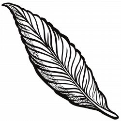 feather - lineart by frankes | Eclectic: Color Me... | Pinterest ...