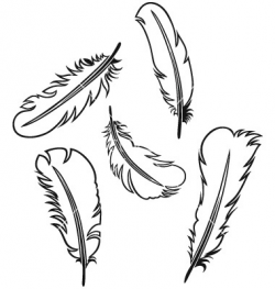 Free Feather Outline Cliparts, Download Free Clip Art, Free ...