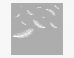 Feather Clipart Gray - White Feathers Falling Png #134886 ...