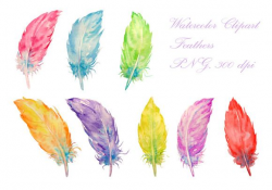 Watercolor Feathers Clipart by Corner Croft on Creative ...