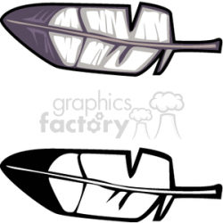 Two bird feathers clipart. Royalty-free clipart # 130233