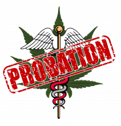 Michigan Medical Marijuana Report: February 2017