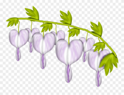 February Clipart February Flower - Png Download - Clipart ...