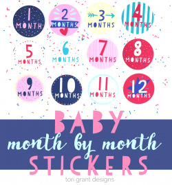 Super Sweet Month By Month Baby Stickers | Tori Grant Designs