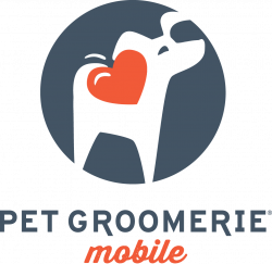 WHY is February Pet Dental Health Month?? — Scenthound Plus Grooming