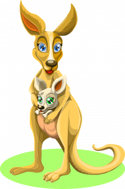 Australia, Kangaroo Animal Baby Kangaroo Mama And Chi #australia ...