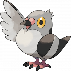 Pidove (Pokémon) - Bulbapedia, the community-driven Pokémon encyclopedia