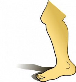 Collection of 14 free Ancle clipart swollen foot. Download on ubiSafe