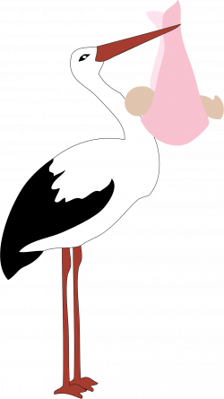 Clipart - Stork Delivering Baby Girl