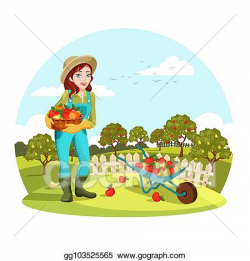 Vector Stock - Woman or female gardener holding apples ...