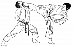 Karate Drawing at GetDrawings.com | Free for personal use Karate ...