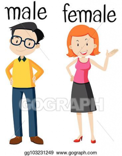 Vector Art - Opposite wordcard for male and female. Clipart ...