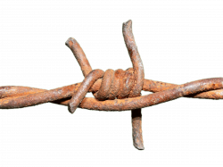 Barbed Wire Rusted Knot transparent PNG - StickPNG