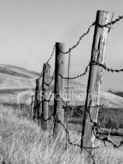 Barb Wire Fence Clip Art | barbed wire fence photo credit ...