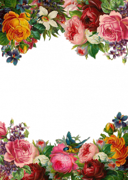 Free Image on Pixabay - Flower, Rose, Frame, Collection | Pinterest ...