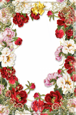 Flowers-Picture-Frame-with-Golden-Floral-Border.png (1200×1800 ...