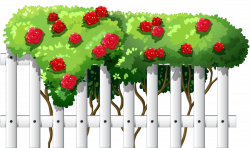 white fence with roses png - Free PNG Images | TOPpng