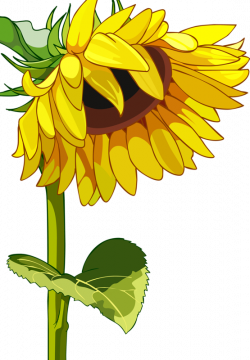 4.png | Flower clipart, Clip art and Clipart images