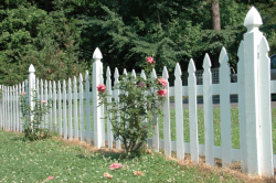 Standard Cedar Fence Designs - Allied Fence