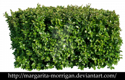 green fence 1 by margarita-morrigan | Różności | Pinterest | Fences