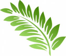Free Fern Cliparts, Download Free Clip Art, Free Clip Art on ...