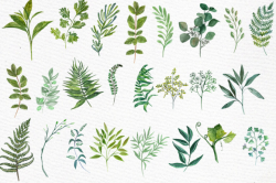 Watercolor Ferns Clipart WATERCOLOR CLIP ART Branches clipart Greenery  clipart