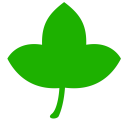 Leaf Plant Tree Fern Clip art - green leaves 3000*3000 transprent ...