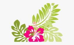 Hawaiian Flowers Clipart - Hibiscus Clipart #194183 - Free ...