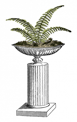 Antique Images: Potted Fern Digital Transfer Download with Pillar ...