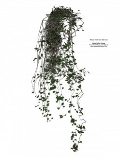 3D transparent vines plant by ~madetobeunique on deviantART | PNG ...