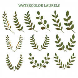 Watercolor laurels green decorative vector | Free ...