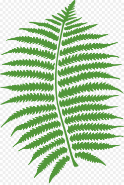 Christmas Leaf clipart - Plant, Leaf, Line, transparent clip art