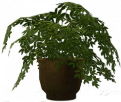 Potted Plant | Dead Rising Wiki | FANDOM powered by Wikia