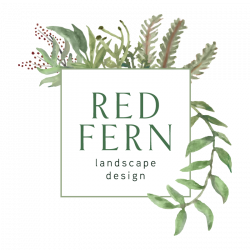 red fern — Red Fern Landscape Design | Des Moines, Iowa landscape ...