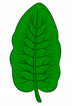 File:Edock leaf.svg - Wikimedia Commons