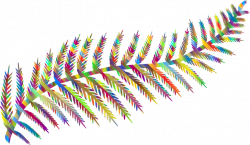 Clipart - Prismatic Fern Leaf Silhouette By Karen Arnold