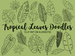 TROPICAL LEAVES CLIPART, hand-drawn leaves, doodle clipart ...
