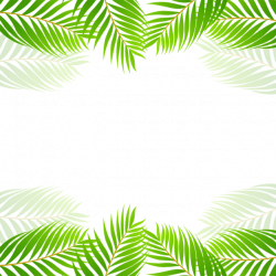 Verde hojas tropicales frontera vector, Verde, Tropical, Hoja PNG y ...