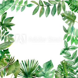 Watercolor painting tropical leaves and branches of fern ...