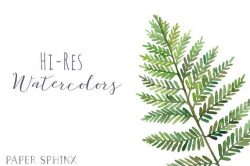 Watercolor Ferns Clipart | Forest Leaves Clipart - Greenery ...
