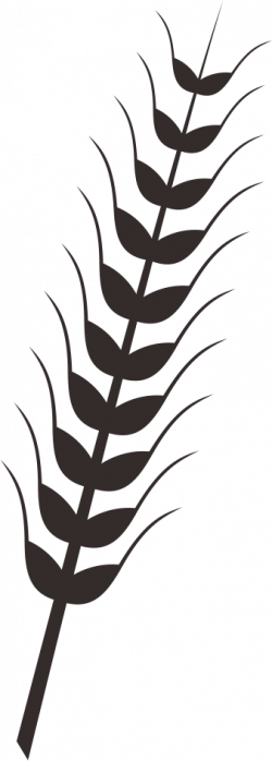 Fern Clipart wheat plant - Free Clipart on Dumielauxepices.net