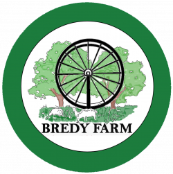 Bredy Farm, Burton Bradstock - Upcoming Events - Festivals