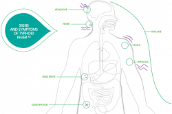 PaxVaxConnect | Typhoid Fever