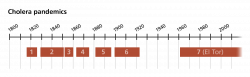 Science in the time of cholera | Stories | yourgenome.org