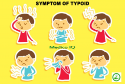 Typhoid Fever-Causes,Symptoms,Treatment,Vaccines - Medico IQ