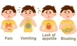 7 Common Digestive Problems You May Have | Health Plus ...