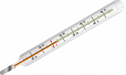 Thermometer Temperature Fever PNG Image - Picpng
