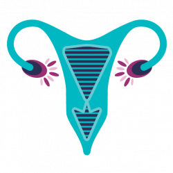 Specialist Care — WA GynaeScope | Gynaecologists | Fertility Specialists