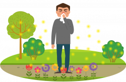 What is Hay Fever - Allergy Guide - Sisal and Seagrass